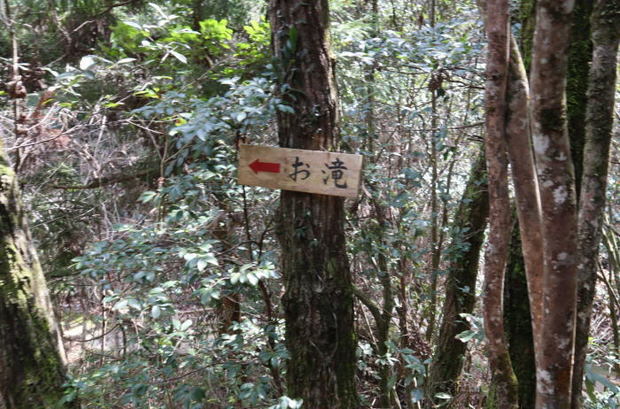 0723_010.jpg